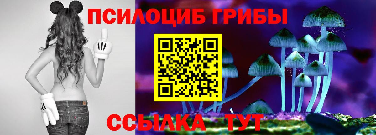 магазин продажи   Вход с VPN  Мурманск  Псилоцибиновые грибы мицелий 